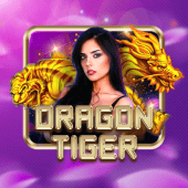 Dragon Tiger - Phtaya App